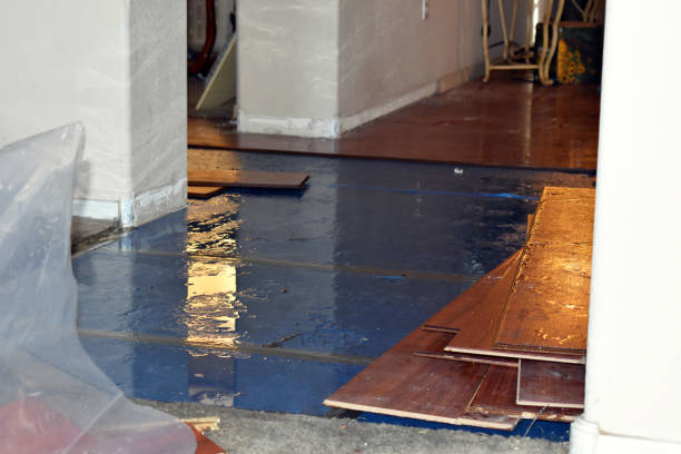 Professional Water Damage Restoration technician working in Clifton, TX